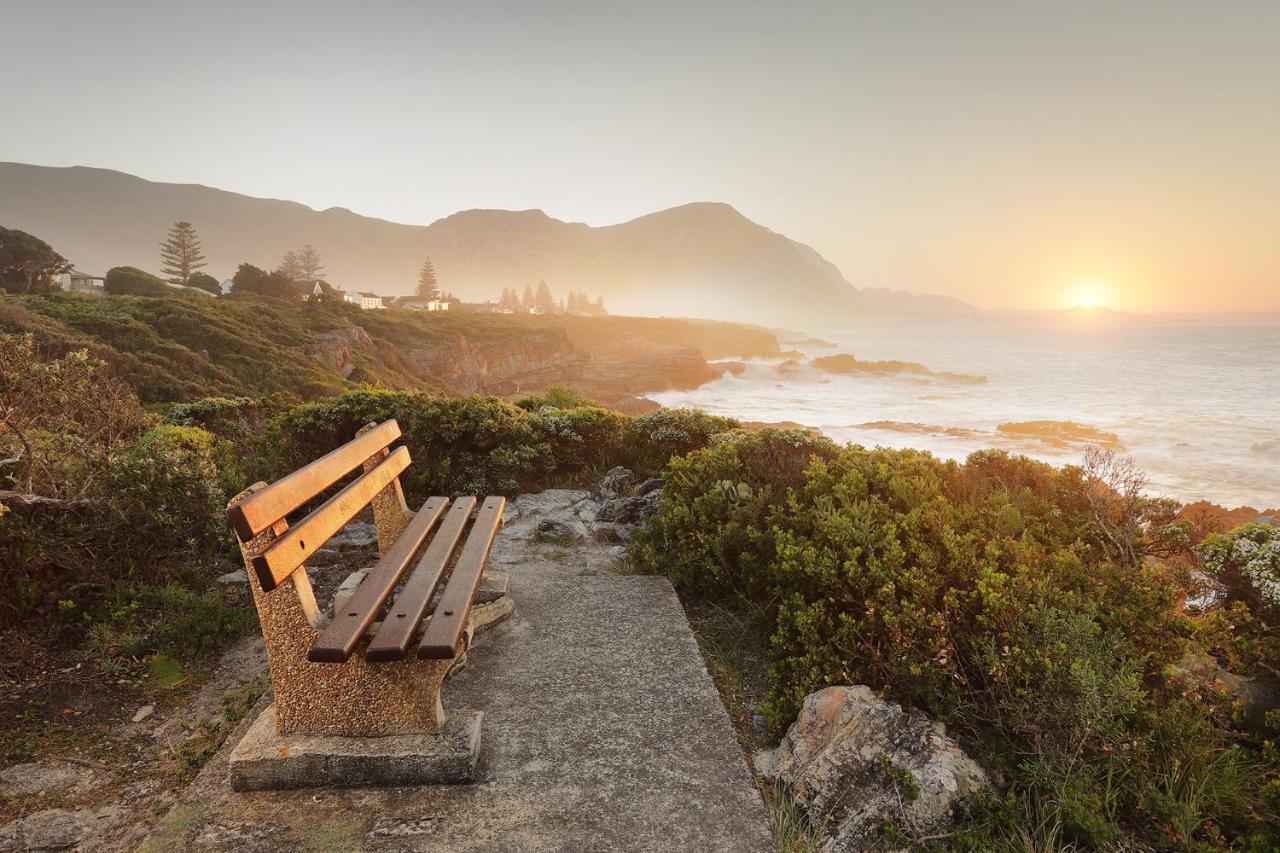 Walker Bay Manor Mansion Hotel Hermanus Kültér fotó